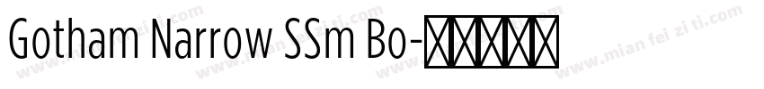 Gotham Narrow SSm Bo字体转换